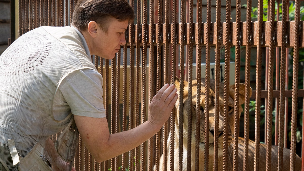 Natalia Popova pets a lion