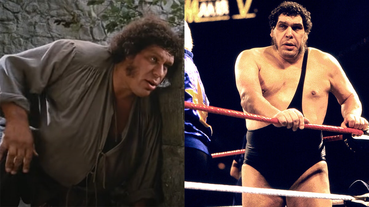 Andre the Giant