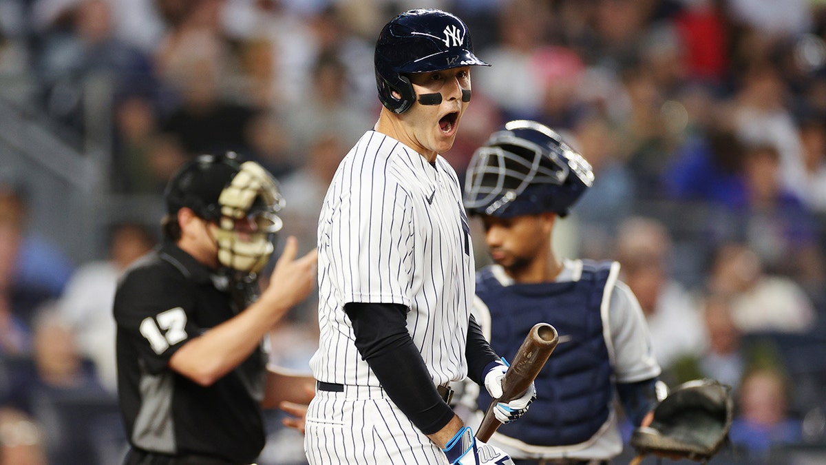 Anthony Rizzo reacts to a questionable call