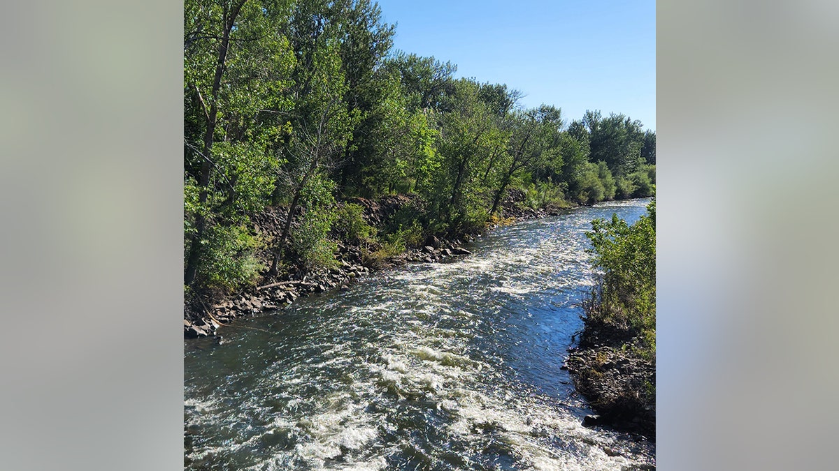 A rushing river in Oregon