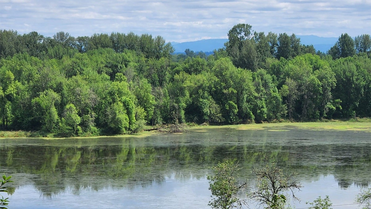 A river in Oregon