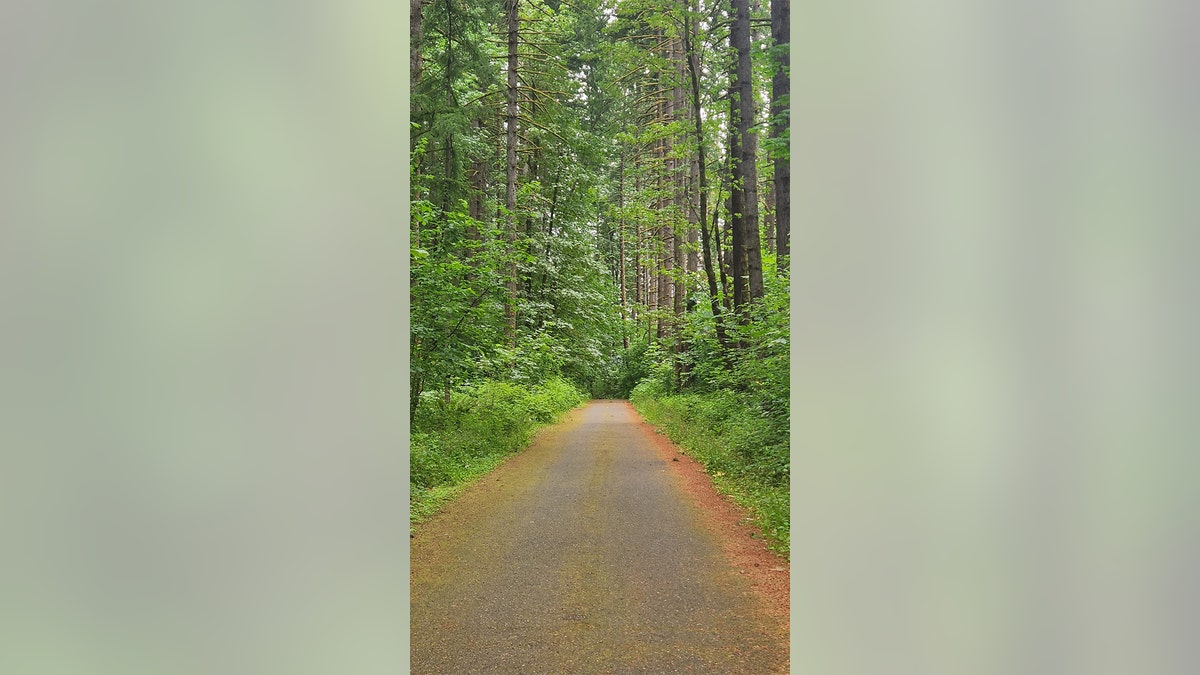 A bike trail in Oregon