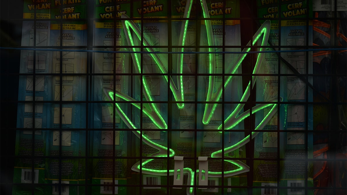 Cannabis store sign is seen in Edmonton
