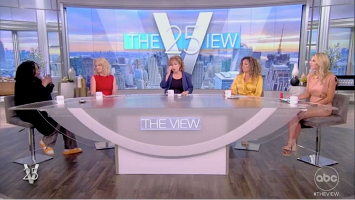 Elisabeth Hasselbeck on "The View"