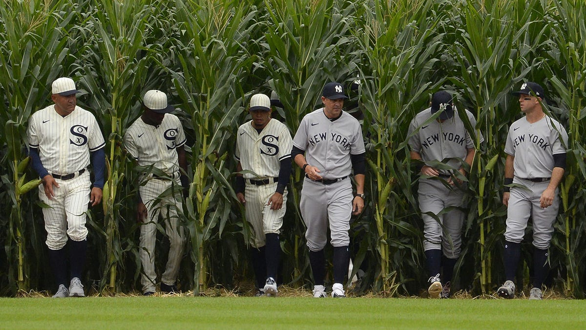 White Sox, Yankees Unveil Field of Dreams Game Uniforms - On Tap Sports Net