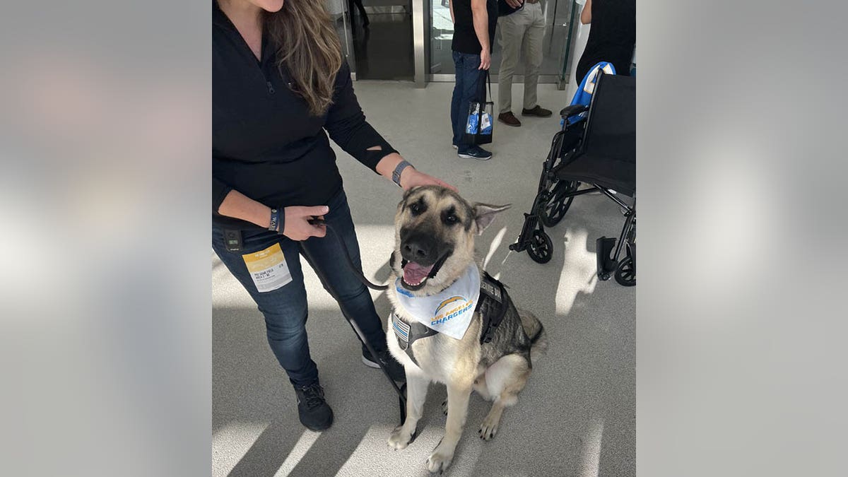 Georgia police officer Jennyie Hill and her service dog Barron
