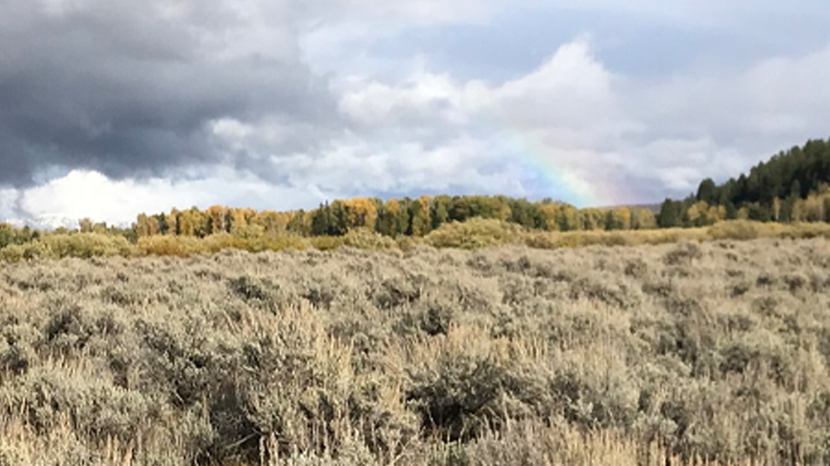 Rainbow at Bridger-Teton National Forest