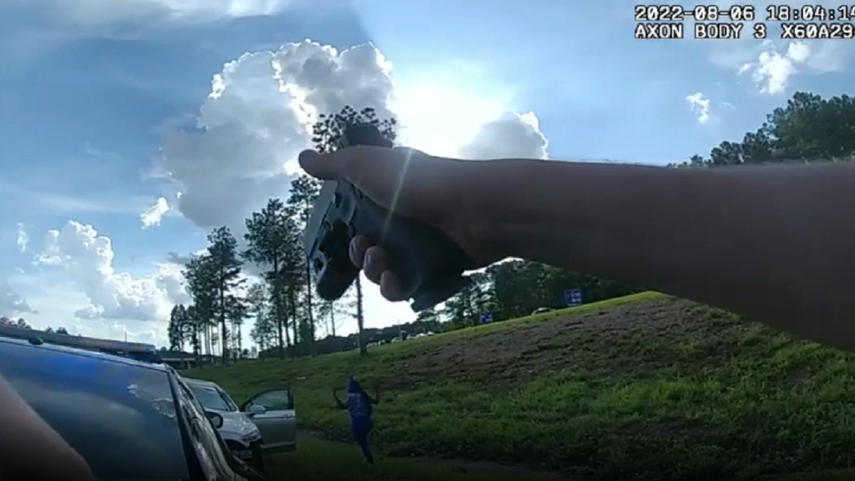 Georgia traffic stop suspect