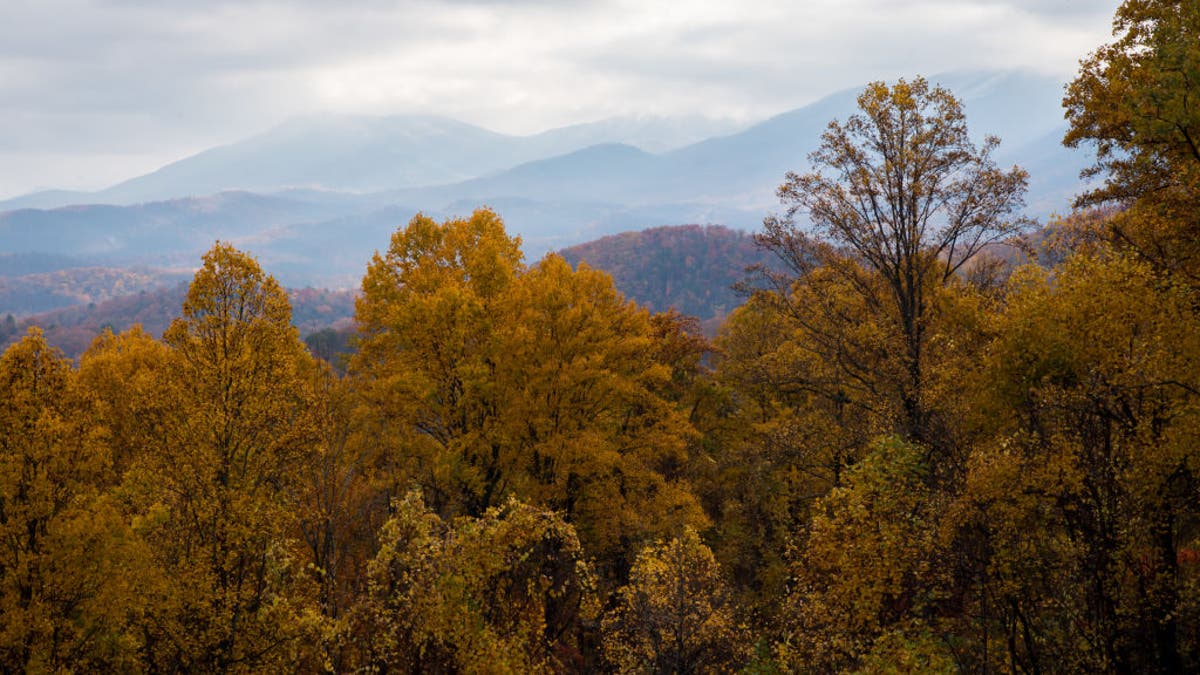 Smokey mountain national park