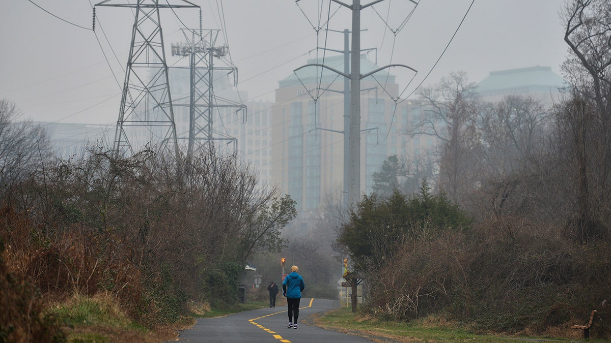 Fog and power lines above W&OD trail users
