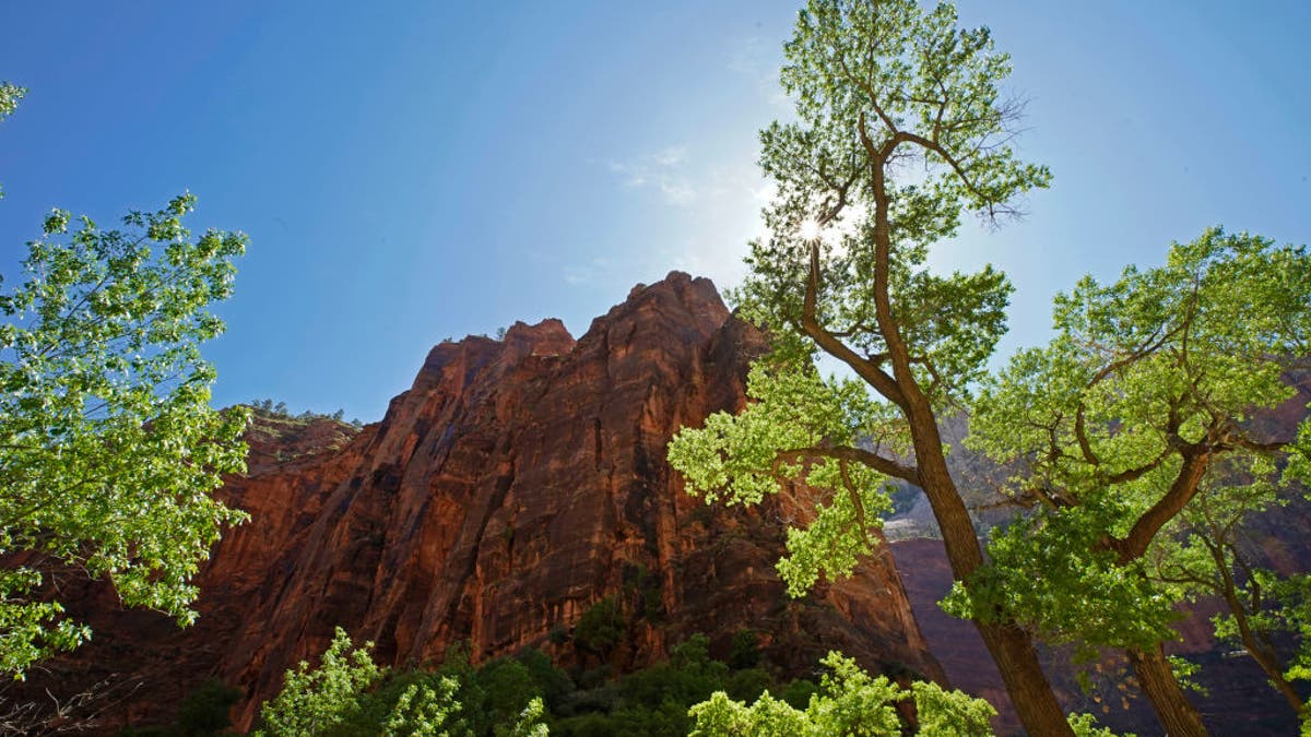 The morning sun lights up large rock formations in Zion National Park