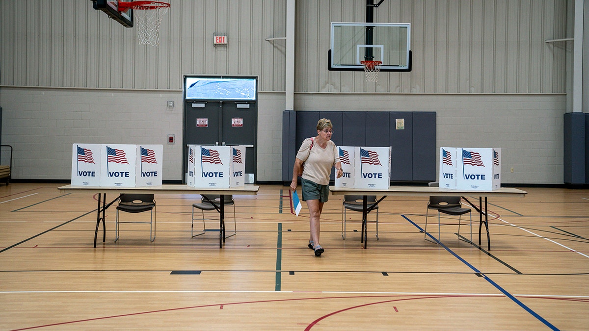 A photo of voting booths in Michigan