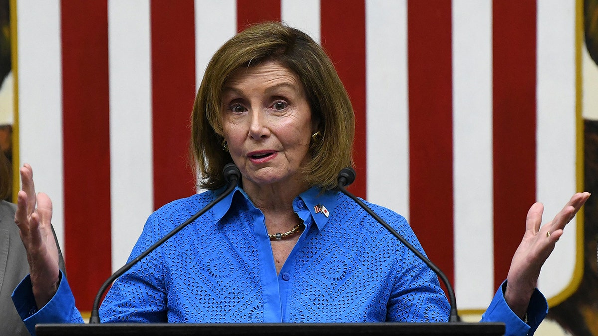 A photo of Nancy Pelosi in Tokyo