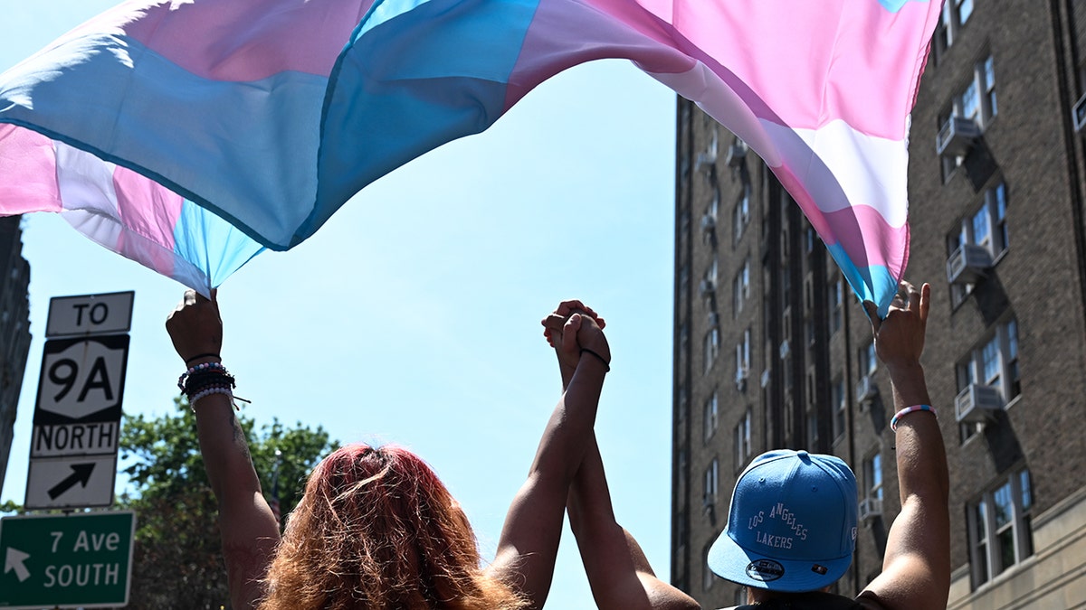 transgender demonstrators holding hands, flying transgender flag