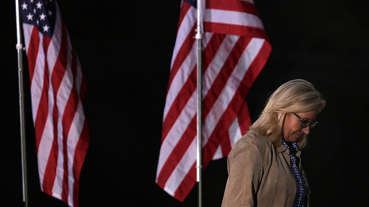 Liz Cheney setelah kekalahan pemilihan pendahuluannya