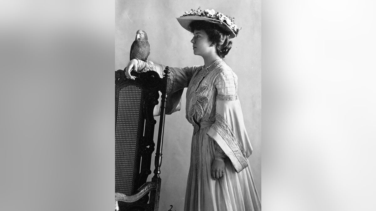 alice roosevelt with parrot