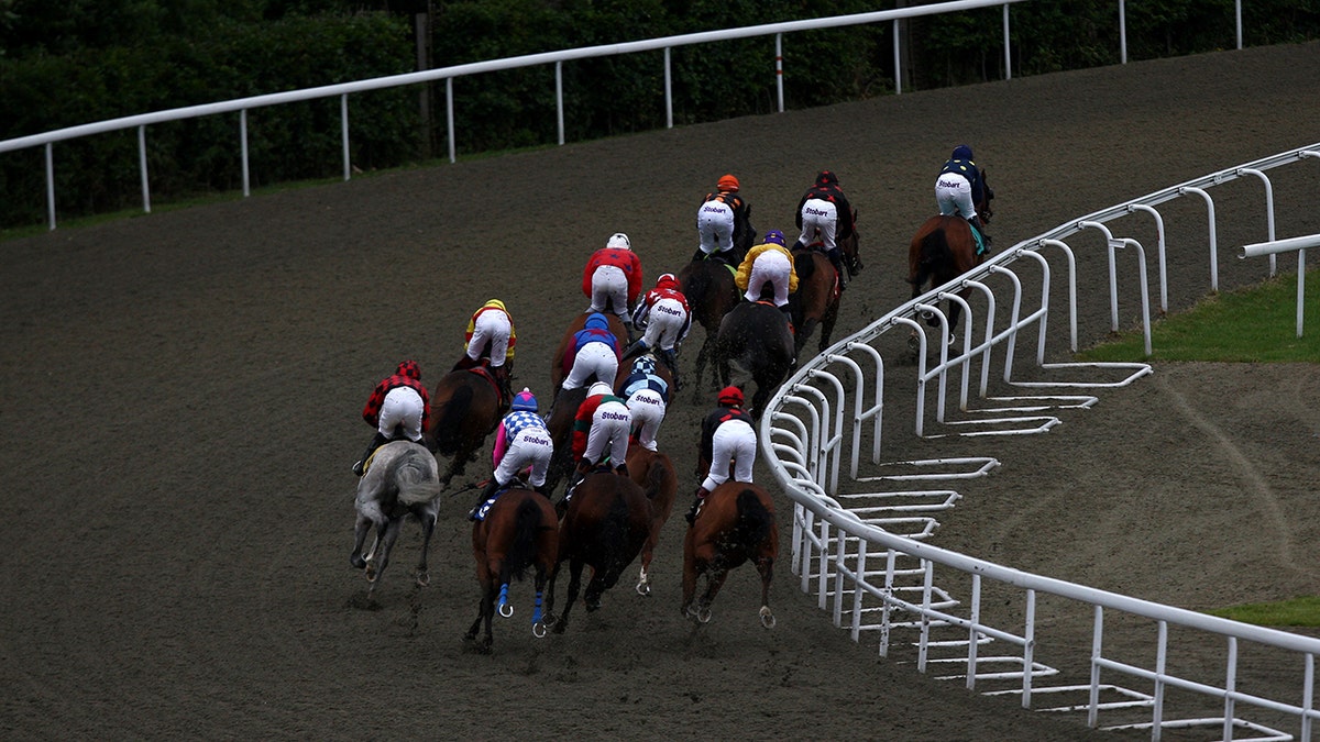 A generic view of a horse race