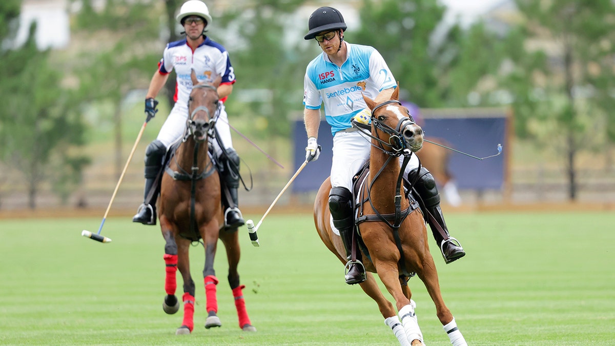 Prince Harry polo