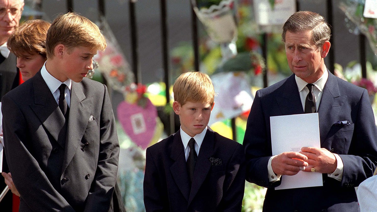 Prince William Prince Harry Prince Charles Princess Diana funeral
