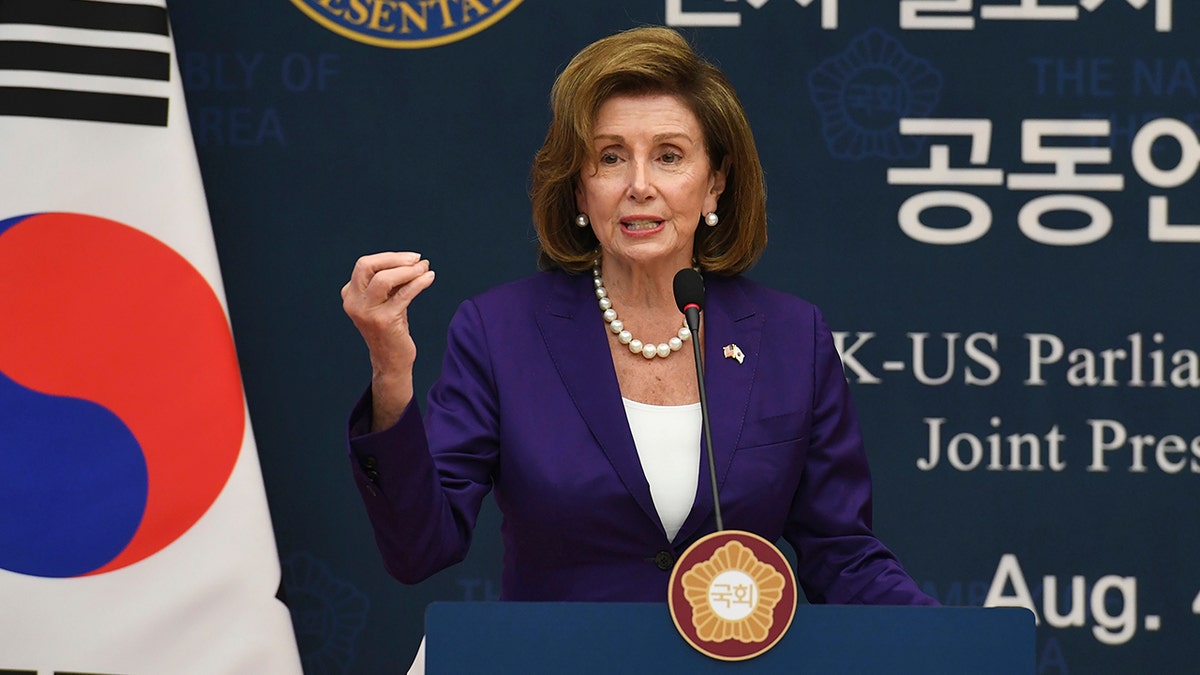 House Speaker Nancy Pelosi speaks in South Korea during Asia trip