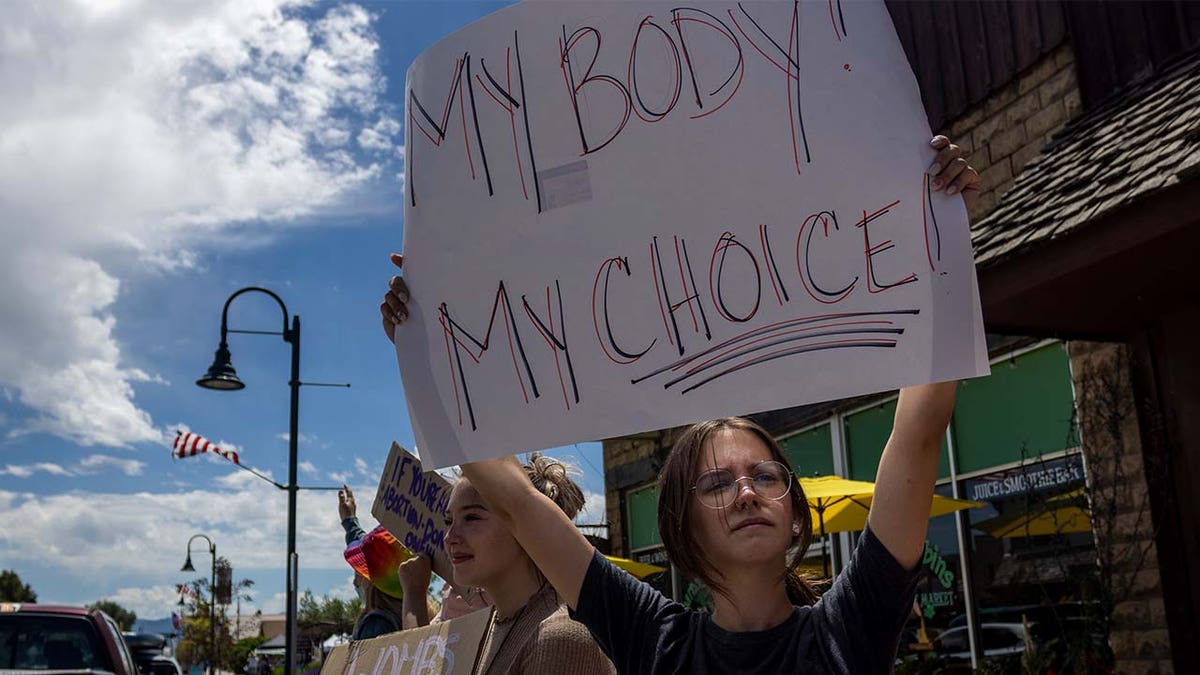 Idaho abortion protest