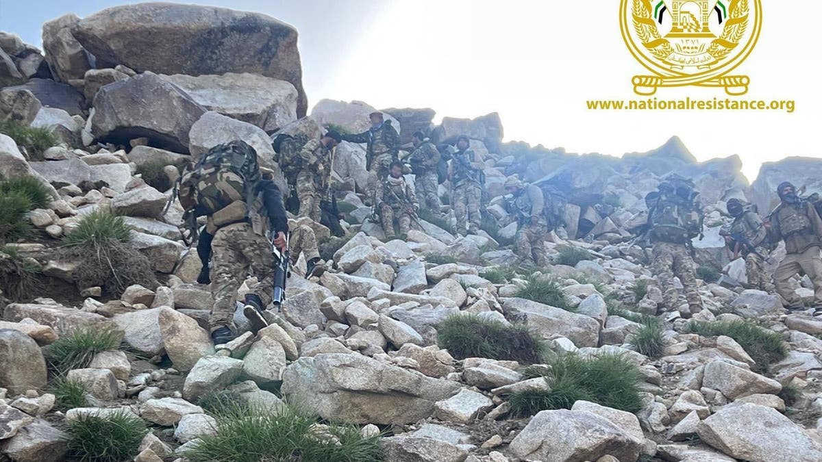 NRF fighters climb mountain