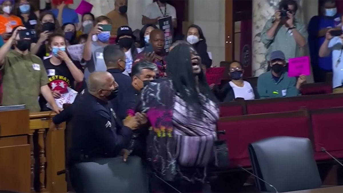 A woman charges lawmakers at an LA city council meeting