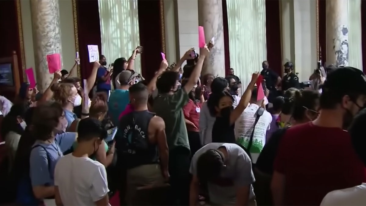 Protesters gather at an LA city council meeting