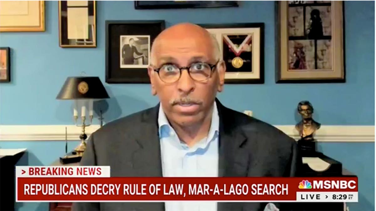 Michael Steele on MSNBC