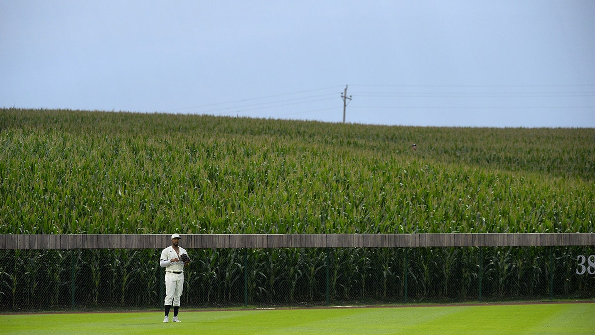 Eloy Jimenez at Field of Dreams