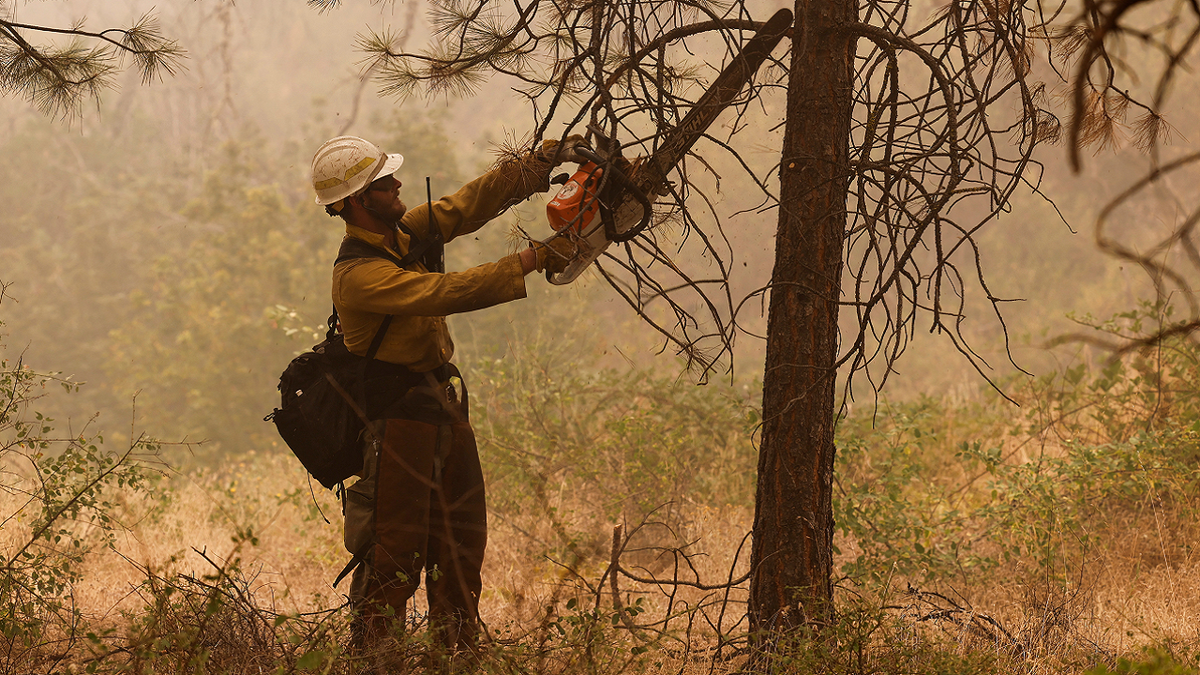 Firefighter in California forest