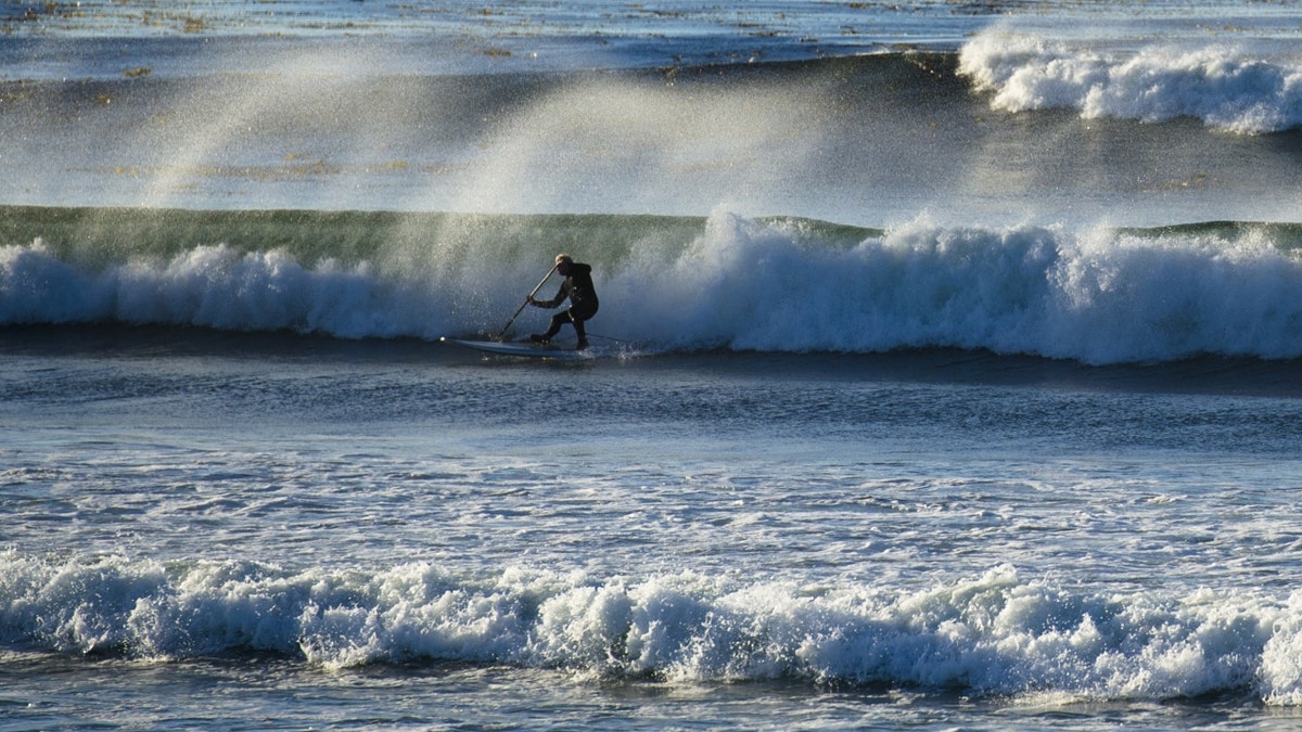 Monterey surfer