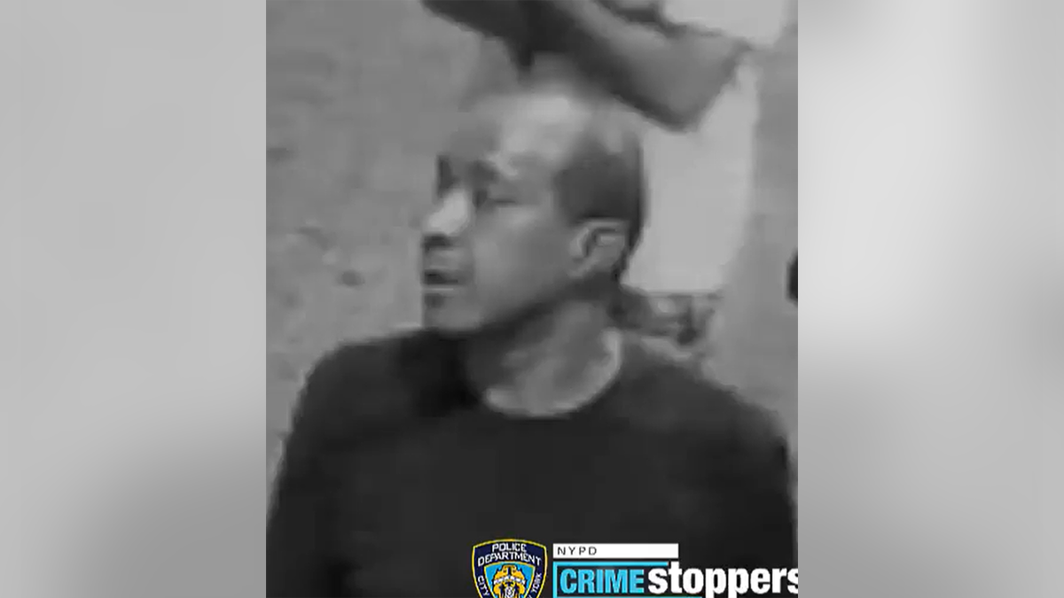 NYC assault suspect