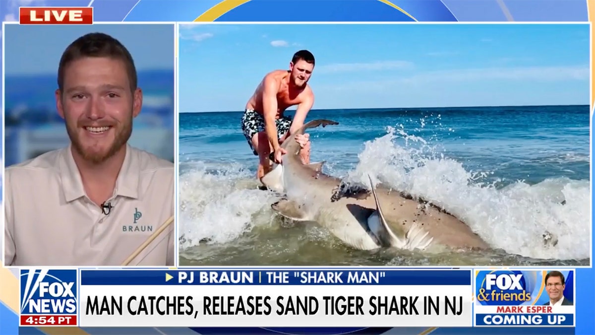 One Jersey Shore town tries to ban shark fishing after beach catches go  viral