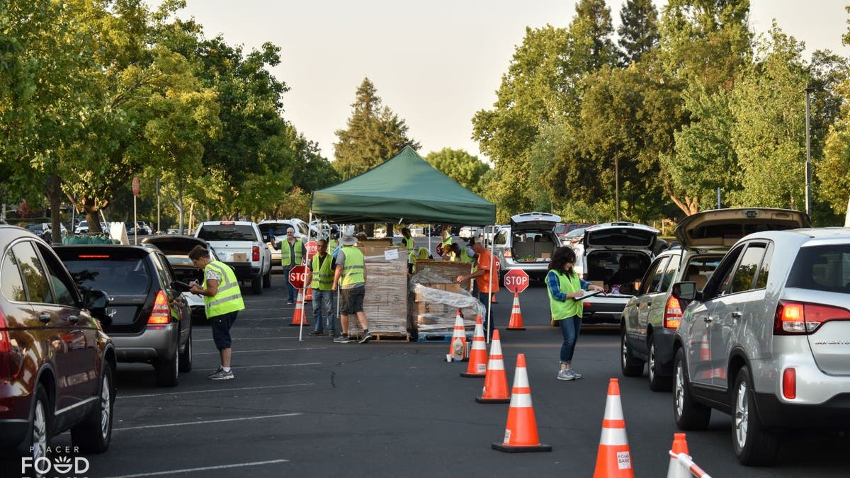 workers bring food to cars at a Placer Food Bank distribution site