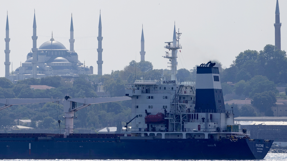 Cargo ship Razoni Bosphorus Strait Turkey