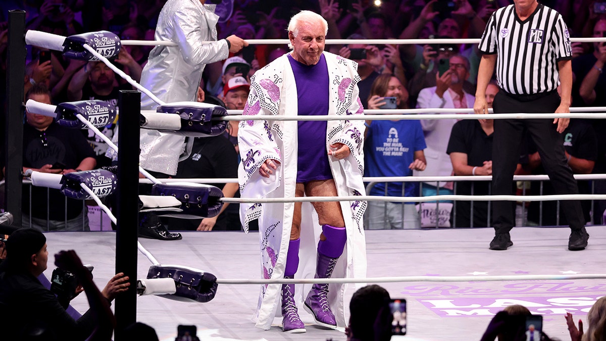 Ric Flair inthe ring