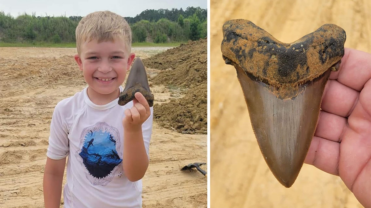 Riley Gracely holds fossilized shark tooth