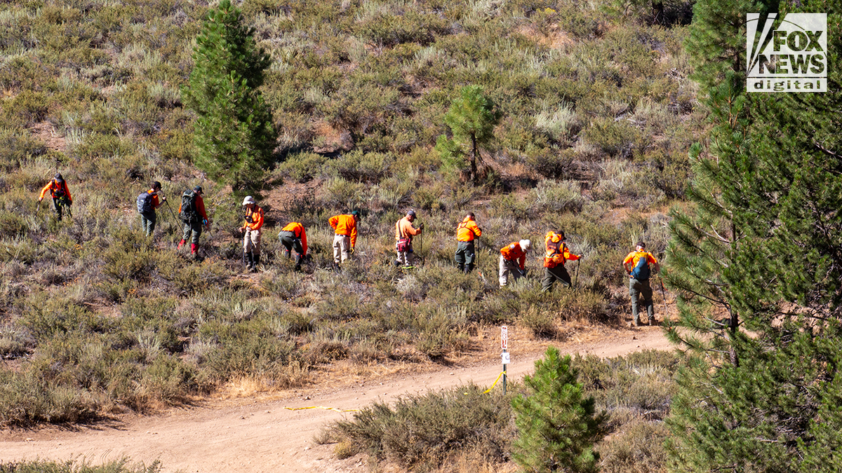 Search team in a rural California area searching for Kiely Rodni 