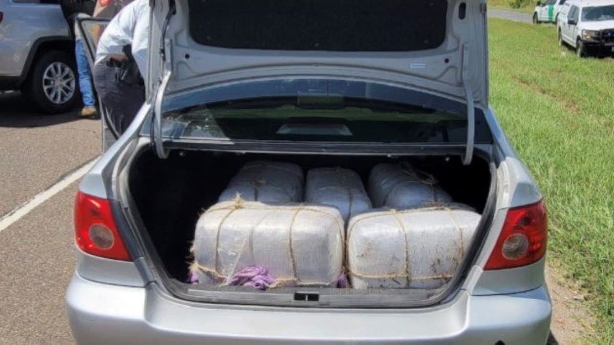 Bundles of marijuana seized by Texas DPS