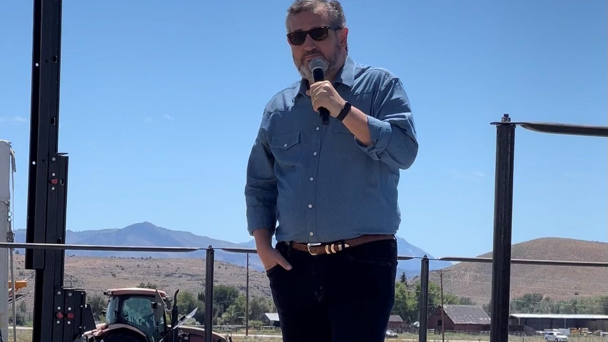 Ted Cruz at Basque Fry in Nevada