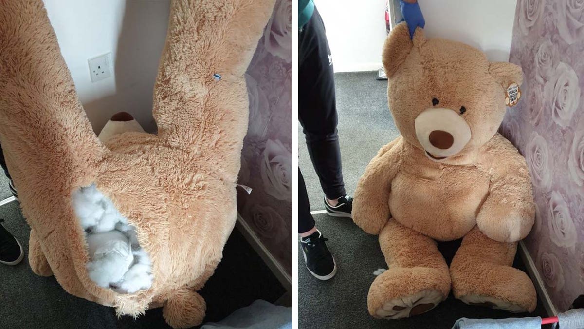 Giant UK teddy bear