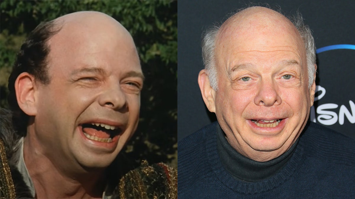 Wallace Shawn