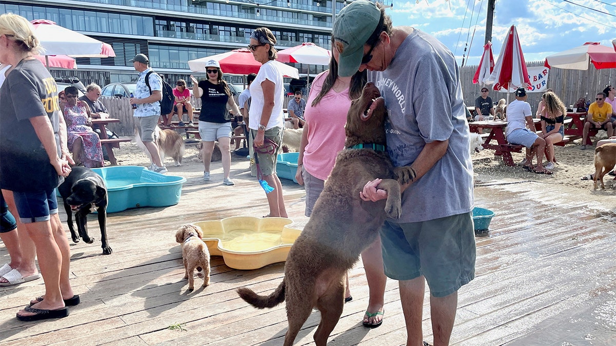 Owner and dog at Yappy Hour