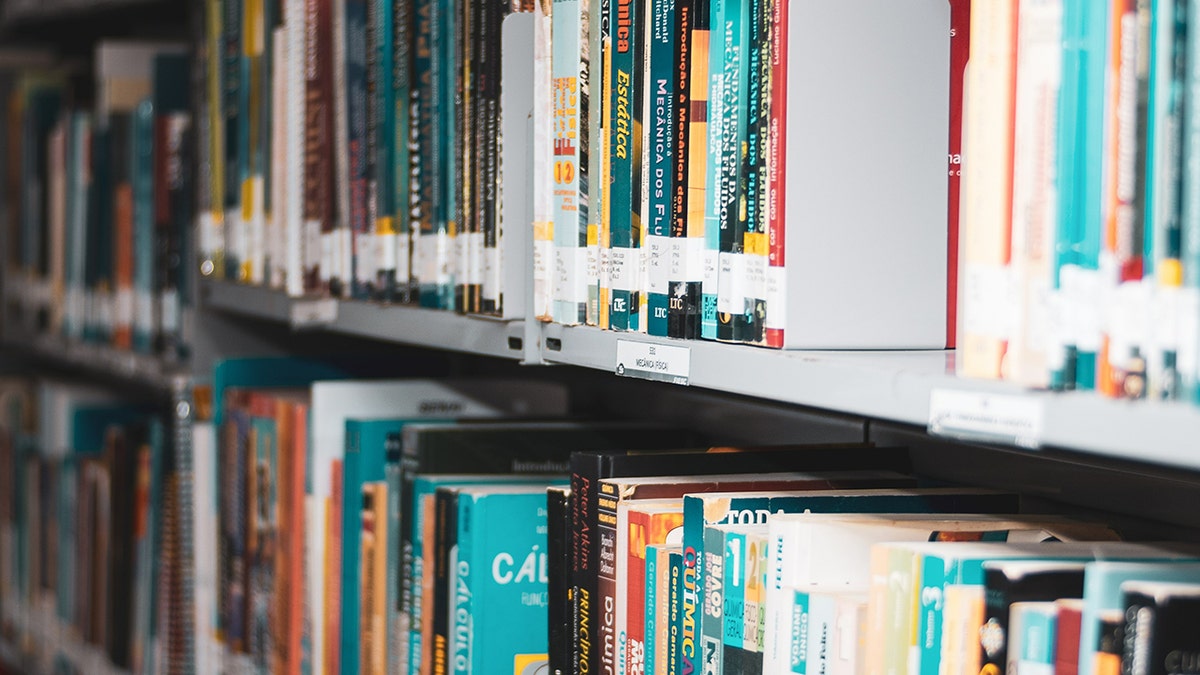 Library book shelves