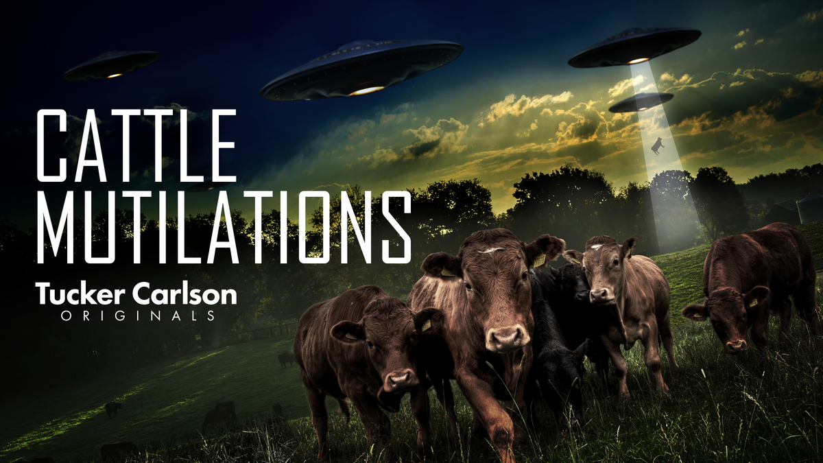 ‘Tucker Carlson Originals: Cattle Mutilations’ now available to stream on Fox Nation