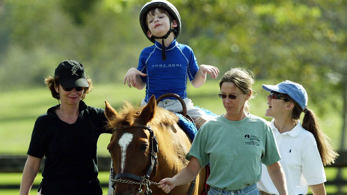 Equine therapy