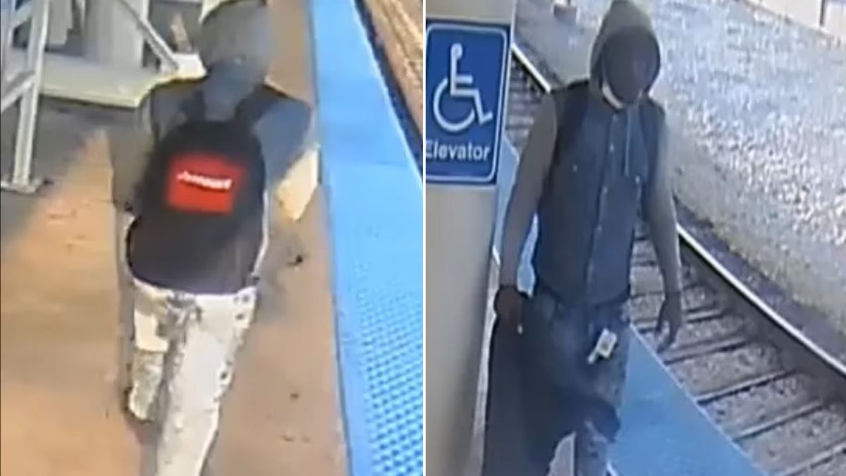 Suspect wanted in shoving incident on Chicago train platform