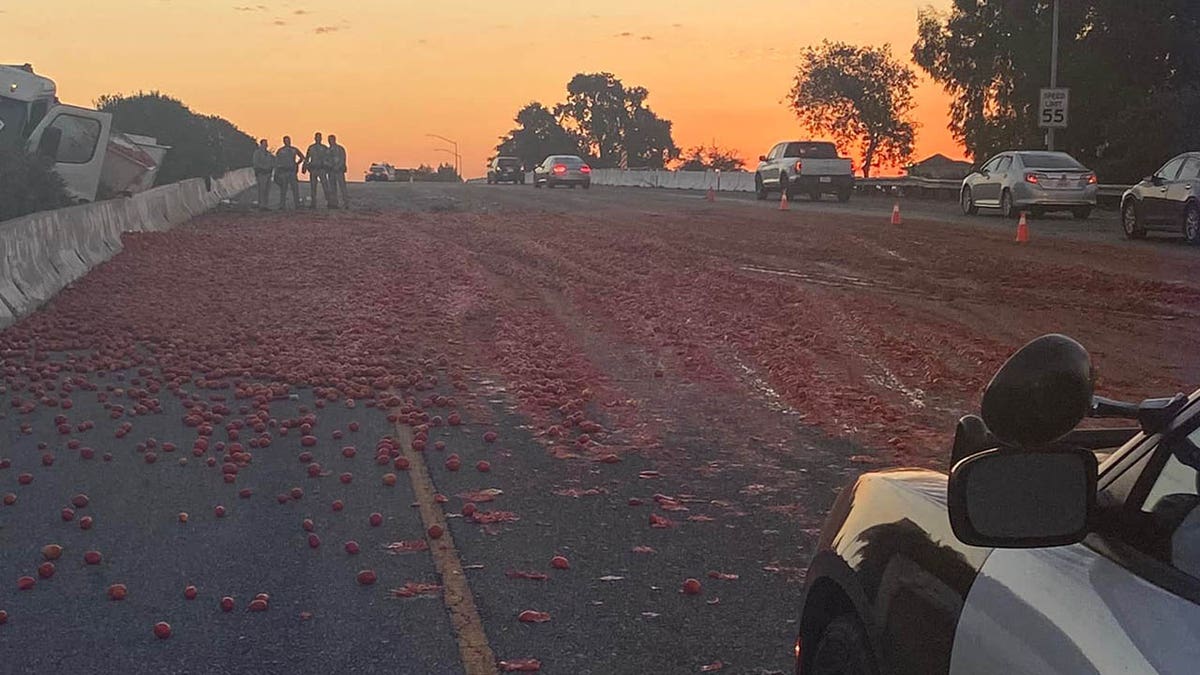 crushed tomatoes on Interstate 80