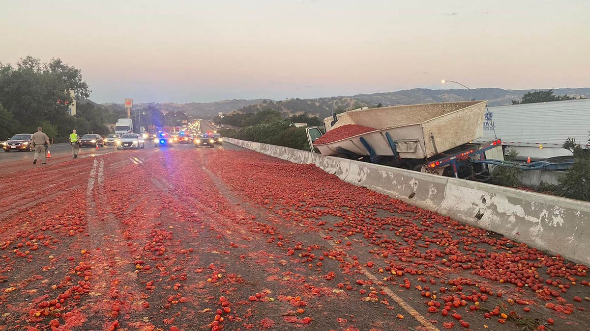 tomatoes covering highway